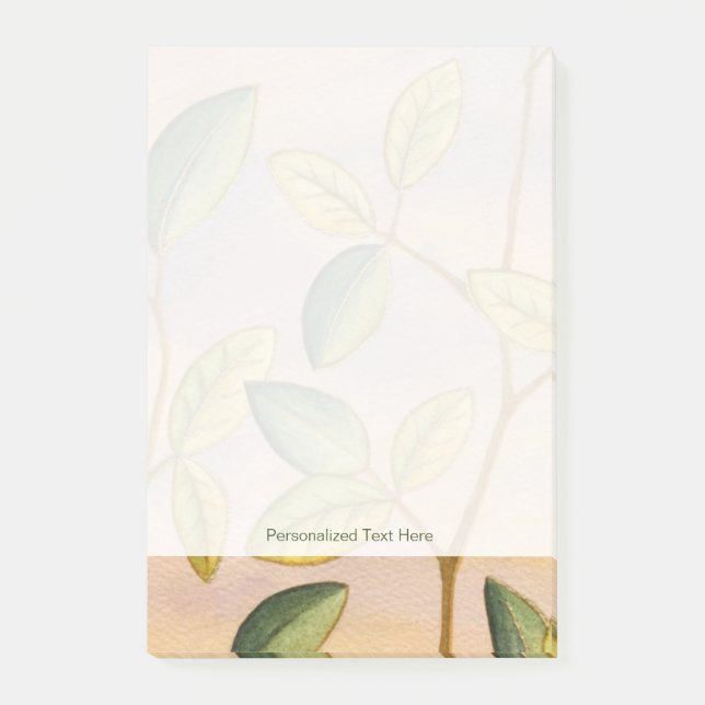 Post-it® Feuilles verts et jaunes sur Arrière - plan couche (Devant)