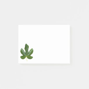 Post-it® Fig arbre Single Green leaf closeuse isolé