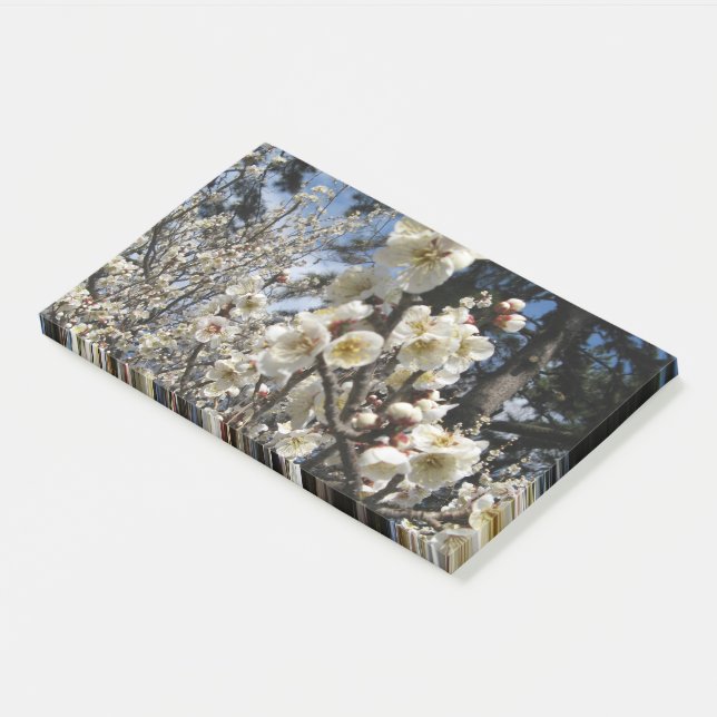 Post-it® Fleur de cerisier blanc / Sakura / ク(桜) (Incliné)