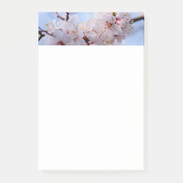 Post-it® Fleur de prunier japonais (Devant)