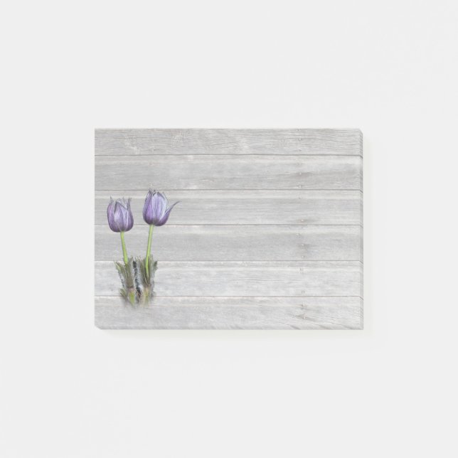 Post-it® Fleur pourpre de prairie de crocus (Devant)