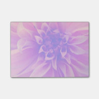 Fleur rose Macro