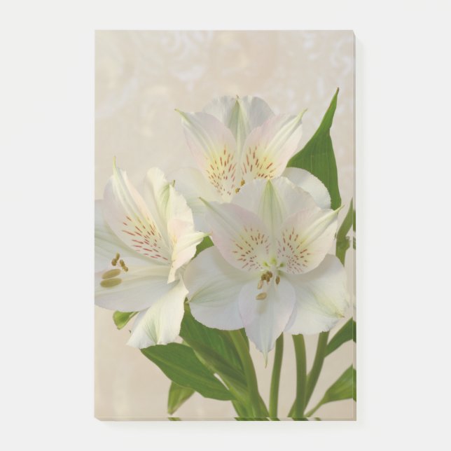 Post-it® Fleurs d'Alstomeria Blanche (Devant)