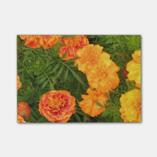 Post-it® Fleurs de souci