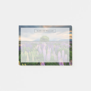 Post-it® Flowers (homonymie)   Lupine Field à New Zealand