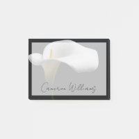 Flowers (homonymie) | White Calla Lily