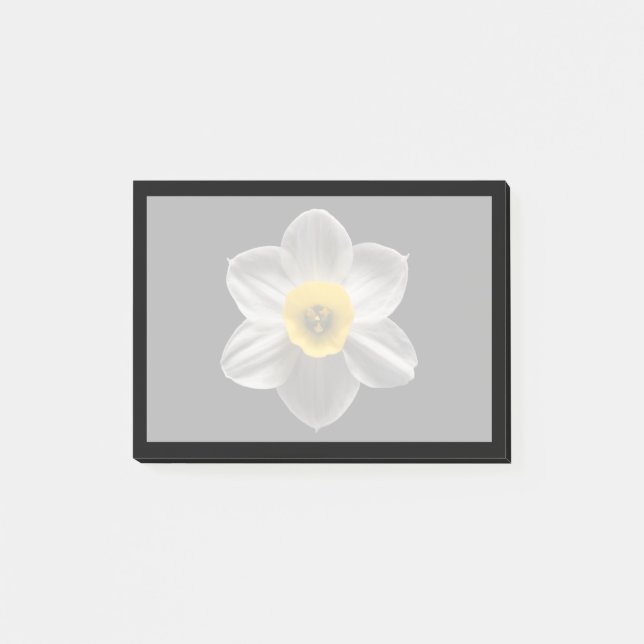Post-it® Flowers | White Daffodil Flower (Devant)