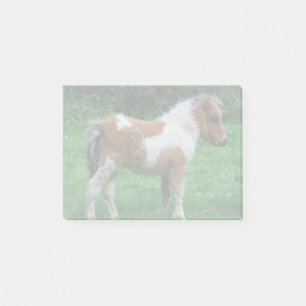 Post-it® Fluffy Adorable Dartmoor Pony