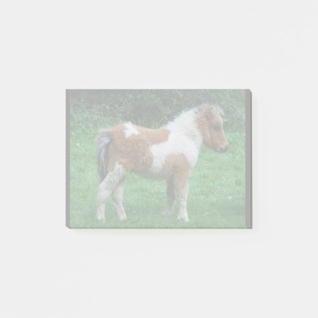 Post-it® Fluffy Adorable Dartmoor Pony (Devant)