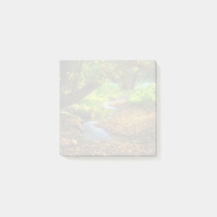 Post-it® Forest Creek Belle nature Paysage Photo