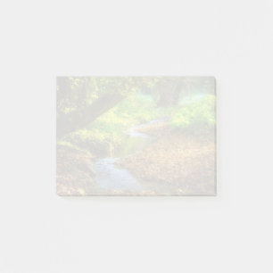 Post-it® Forest Creek Belle nature Paysage Photo