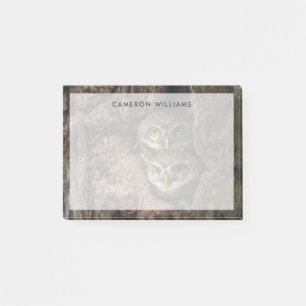 Post-it® Forest Deux Owls Looking