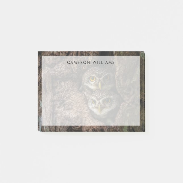 Post-it® Forest | Deux Owls Looking (Devant)