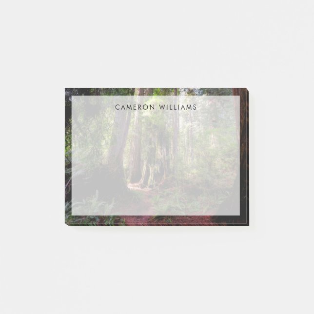 Post-it® Forest | Séquwood Forest California (Devant)