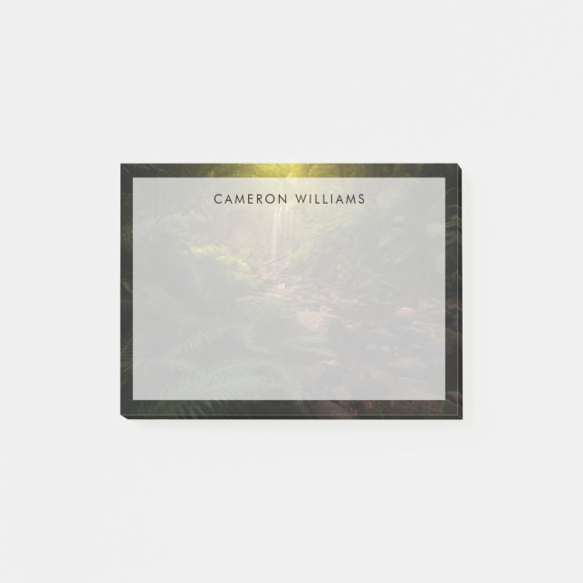 Post-it® Forêt | Cascade Sunlight Highlights (Devant)
