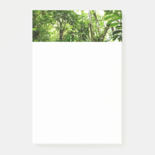 Post-it® Forêt de pluie dominicaine I Nature verte tropical