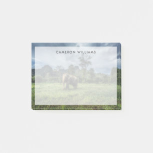 Post-it® Forêt   Parc national de Kao Sok