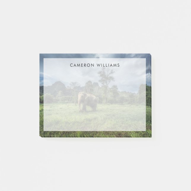 Post-it® Forêt | Parc national de Kao Sok (Devant)