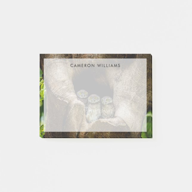 Post-it® Forêt | Trois Chouettes (Devant)