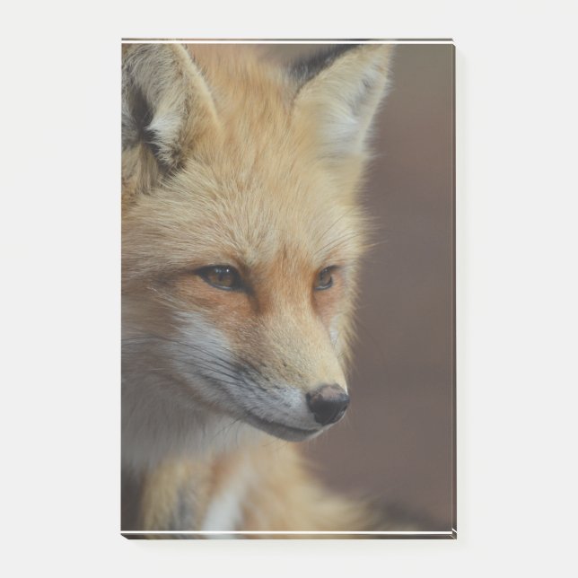 Post-it® Fox rouge mignon (Devant)