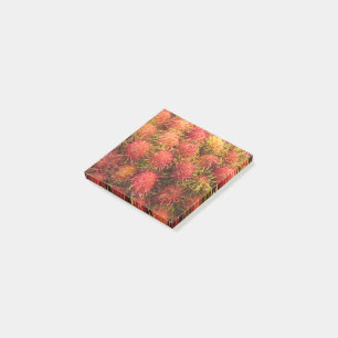 Post-it® Fruits tropicaux Rambutan
