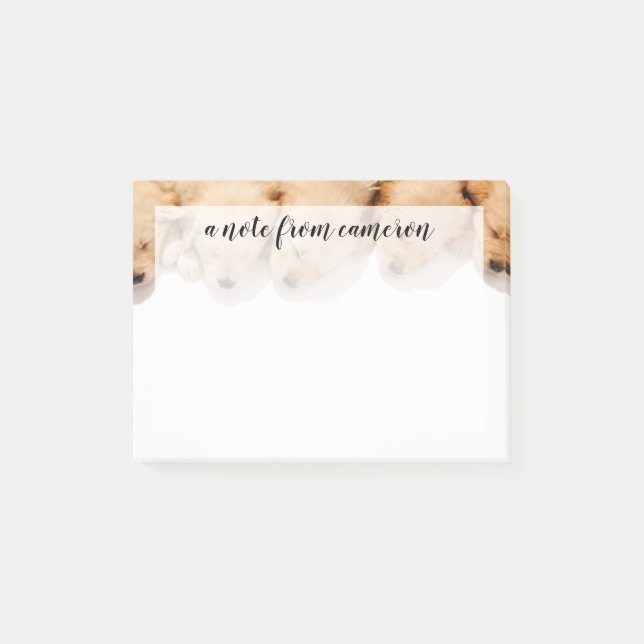 Post-it® Gamme de marionnettes dormantes d'or (Devant)