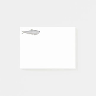 Post-it® Gangetic Hairfin Anchovy