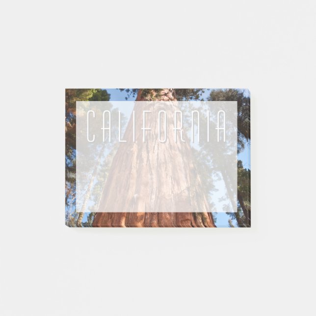 Post-it® Géant Séquoia S'élève (Devant)