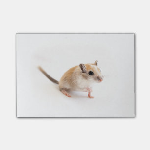 Post-it® Gerbil Cute Bébé Animal Animal Pet Gerbils Modèle