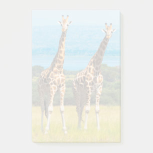 Post-it® Girafes dans la savane, Ouganda