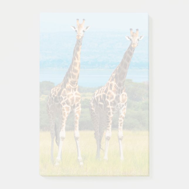 Post-it® Girafes dans la savane, Ouganda (Devant)
