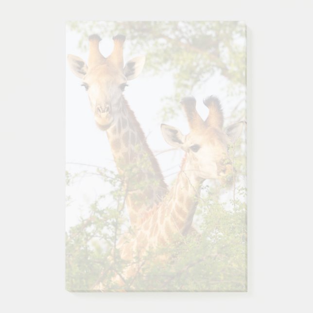 Post-it® Girafes dépassant la végétation (Devant)