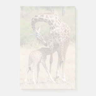 Post-it® Giraffe Mère et bébé au Kenya