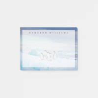 Glace et neige | Adelie Penguins Antarctique
