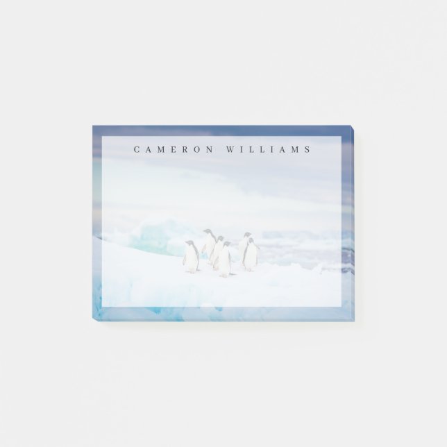 Post-it® Glace et neige | Adelie Penguins Antarctique (Devant)