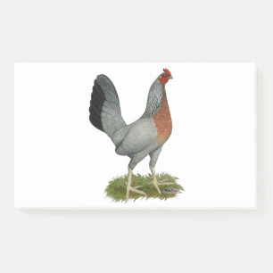 Post-it® Golden Duckking Hen