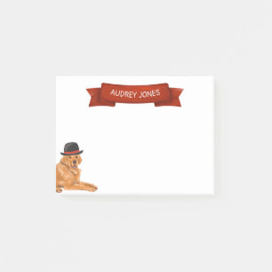 Post-it® Golden Retriever avec peinture Casquette