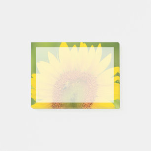 Post-it® Grand champ de tournesols près de Moses Lake, WA 1