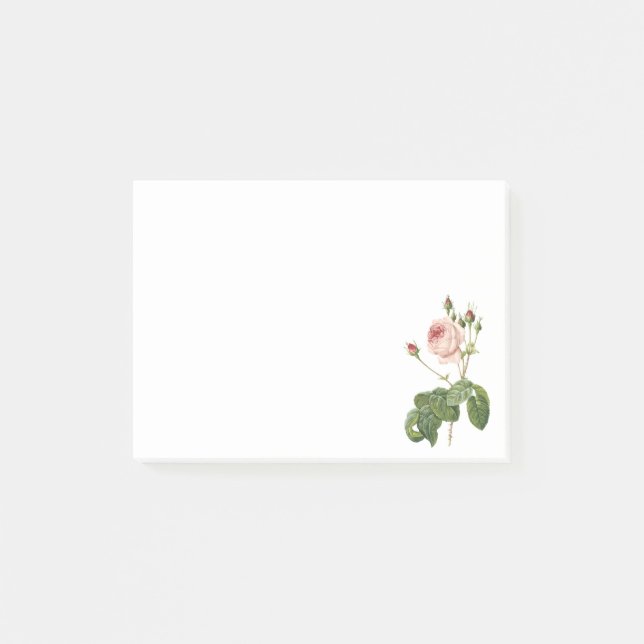 Post-it® grand chou-leaved s'est levé par Redouté (Devant)