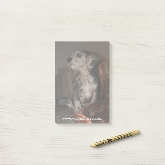 Post-it® Grand Danois merle (Sur un bureau)