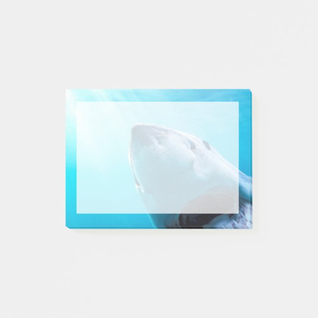 Post-it® Grand requin blanc | Afrique du Sud (Devant)