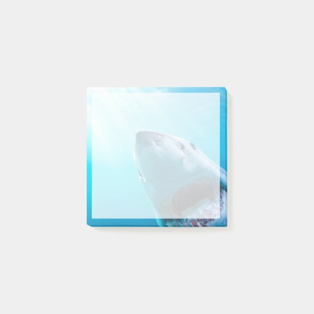 Post-it® Grand requin blanc | Afrique du Sud (Devant)