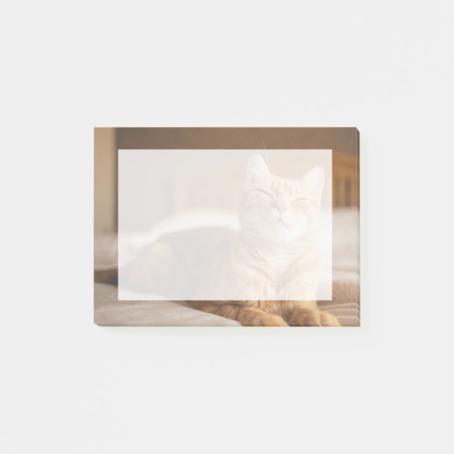 Post-it® Grandes images| Chat endormi (Devant)