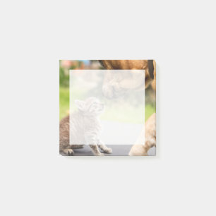 Post-it® Grandes images  Chien et Chat en amour