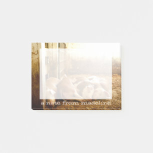 Post-it® Grandes images Cochons en friche
