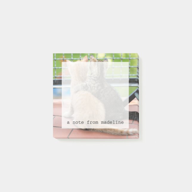 Post-it® Grandes images| Deux chatons sur un balcon (Devant)