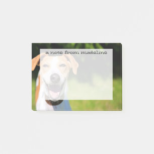 Post-it® Grandes images  Rire le chien