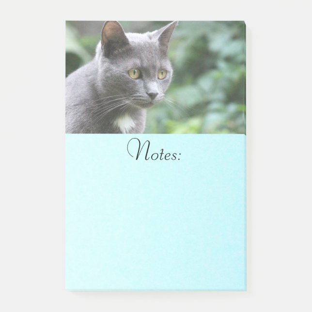 Post-it® Gray Kitty Chat (Devant)