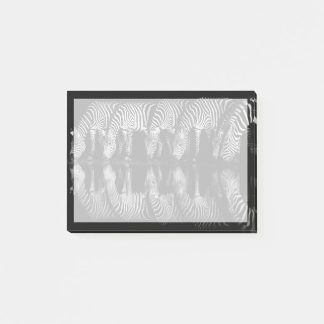 Post-it® Groupe de zèbres des plaines buvant ensemble la nu (Devant)