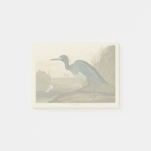 Post-it® Grue bleue Héron Impression Audubon Art côtier (Devant)